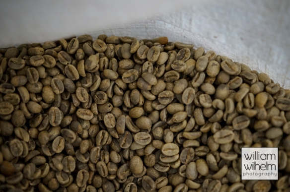 the dried green coffee beans, ready for roasting.